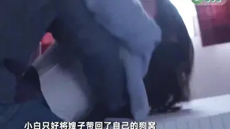 π395 醉酒逆推小叔子